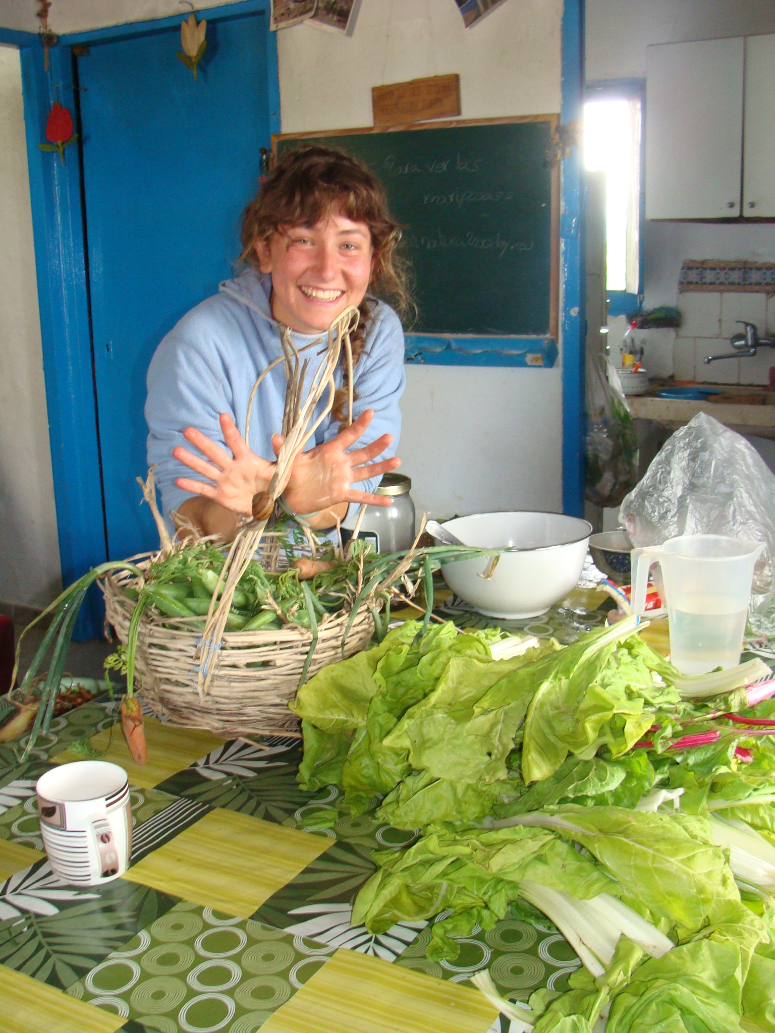 Evelia,mariposa sobre acelgas ecológicas