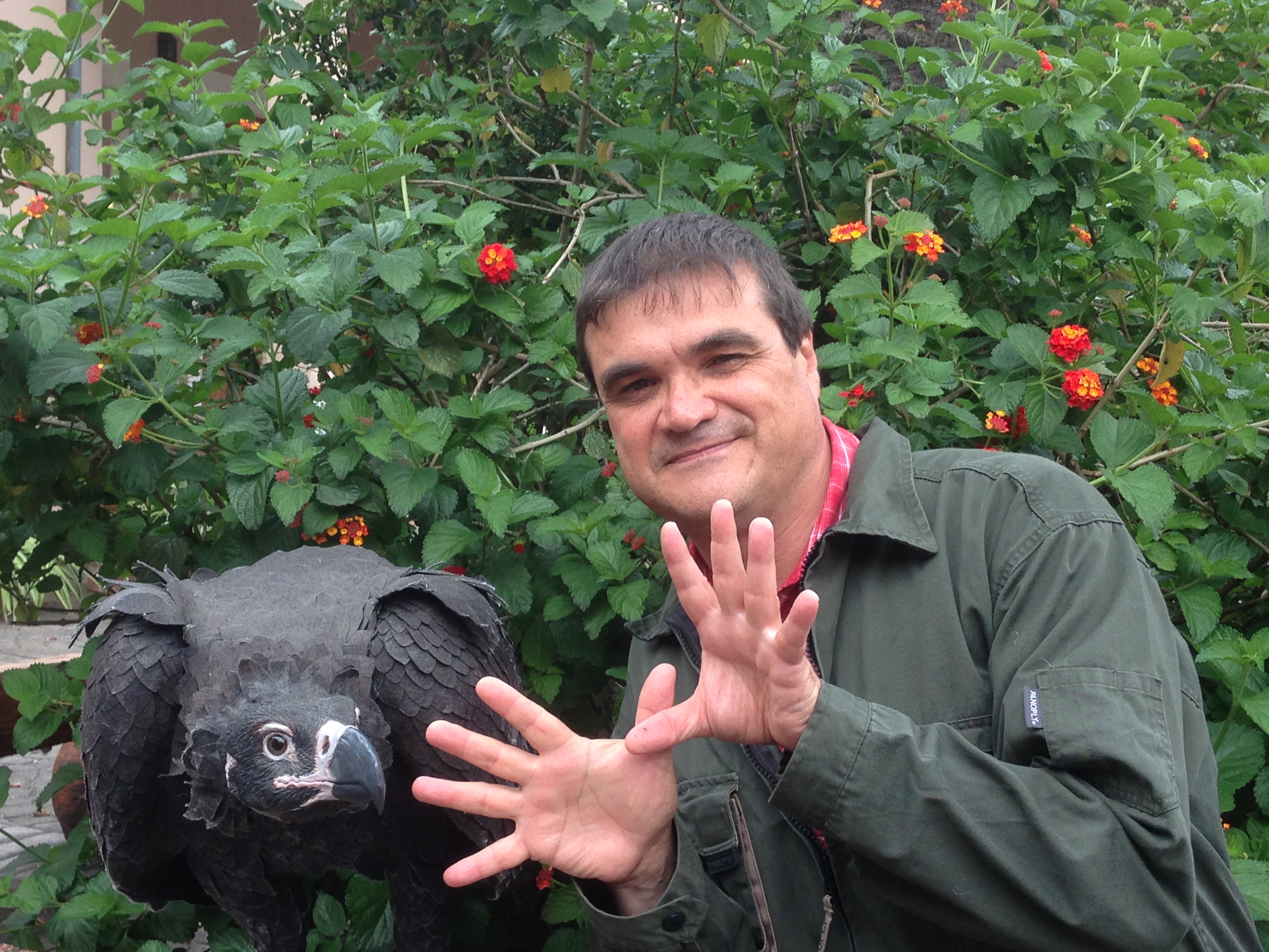 Juanjo Sánchez, Black Vulture Conservation Foundation (BVCF)