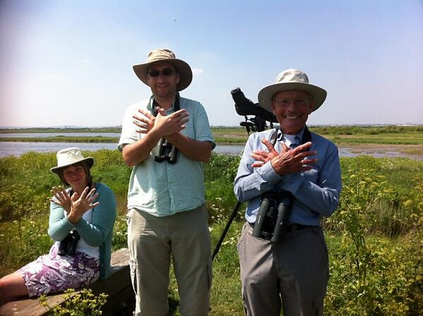 Twitter : @fonkm (North Kent Marshes)