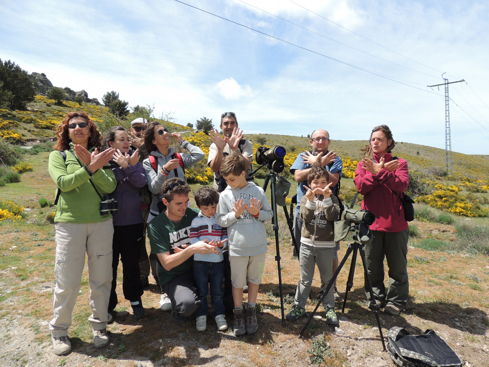 SEO-SIERRA DE GUADARRAMA