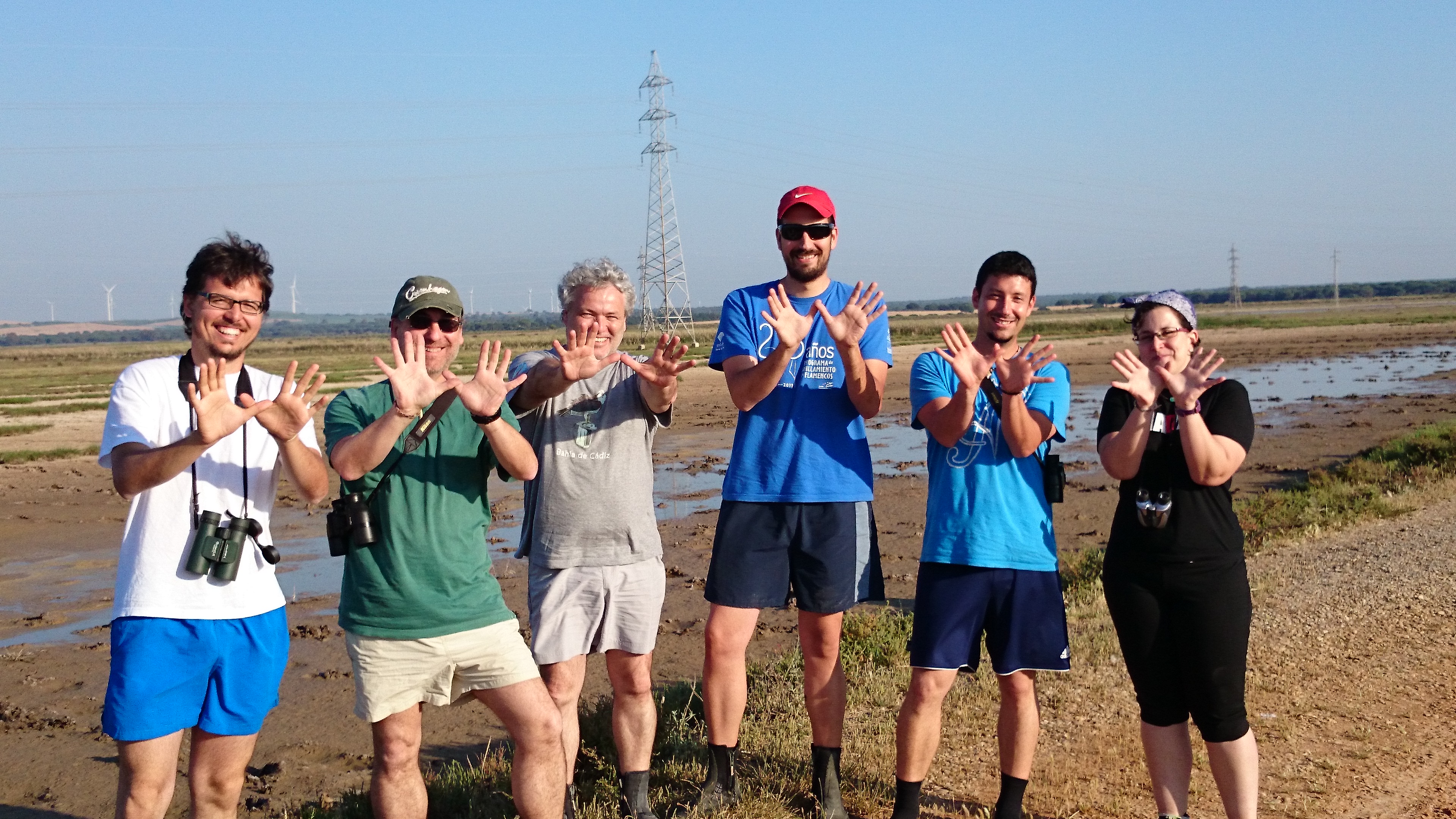 Los anilladores marismeños solidarios