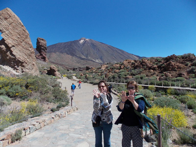 SEO/BirdLife en el Parque Nacional del Teide (Tenerife)