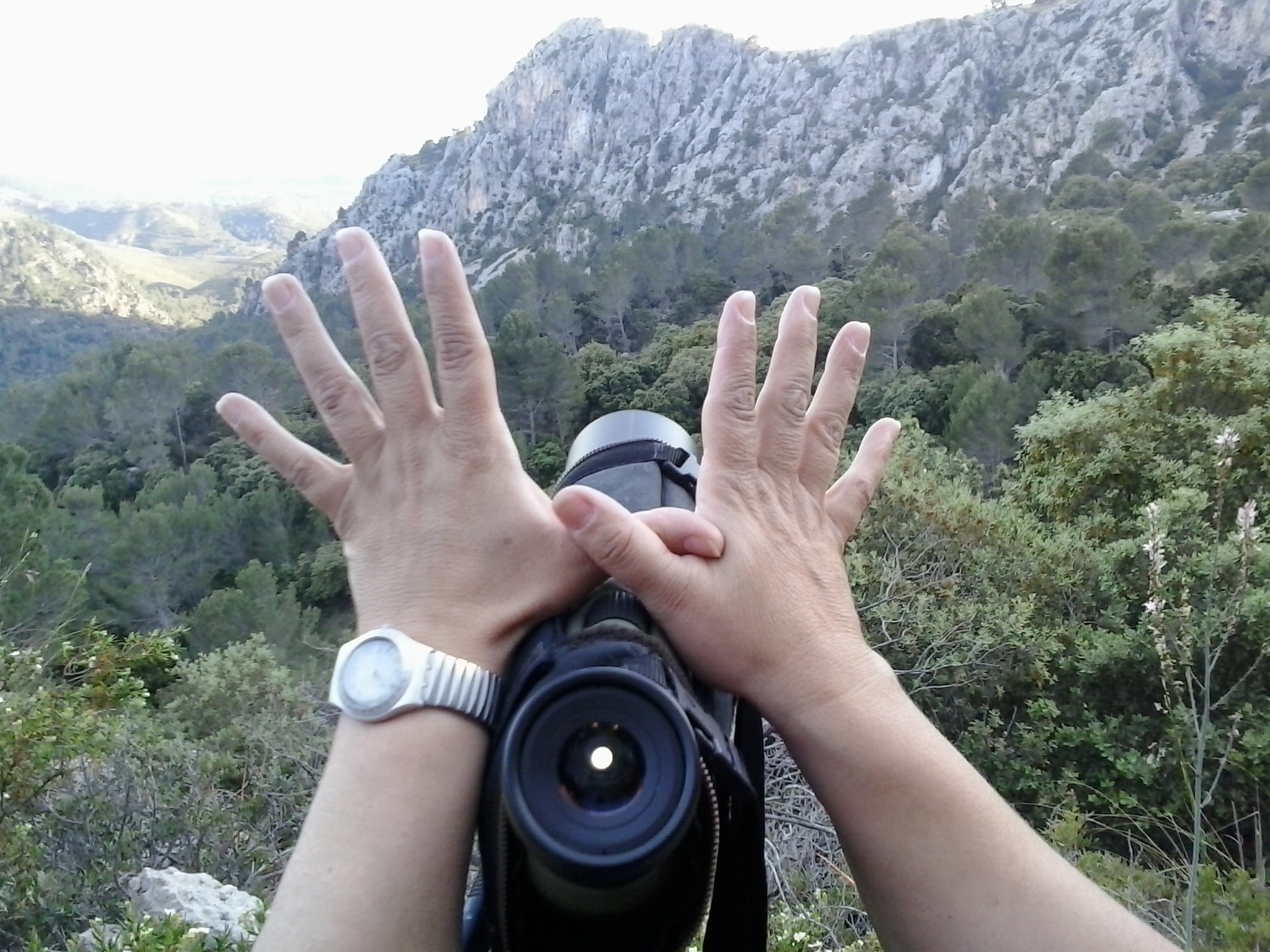 Trabajando en la conservación de Natura 2000 Mallorca