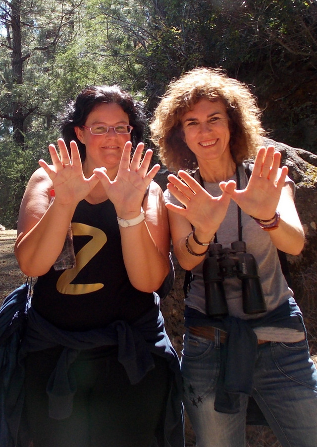 Ruta Ornitológica SEO/BirdLife y naturman (Tenerife)