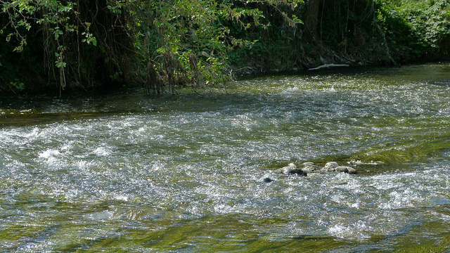 Voluntariado ambiental AB InBev en ZEC Riberas del Henares