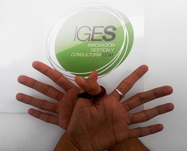 Twitter : @Igesconsult (IGES Consultoría)