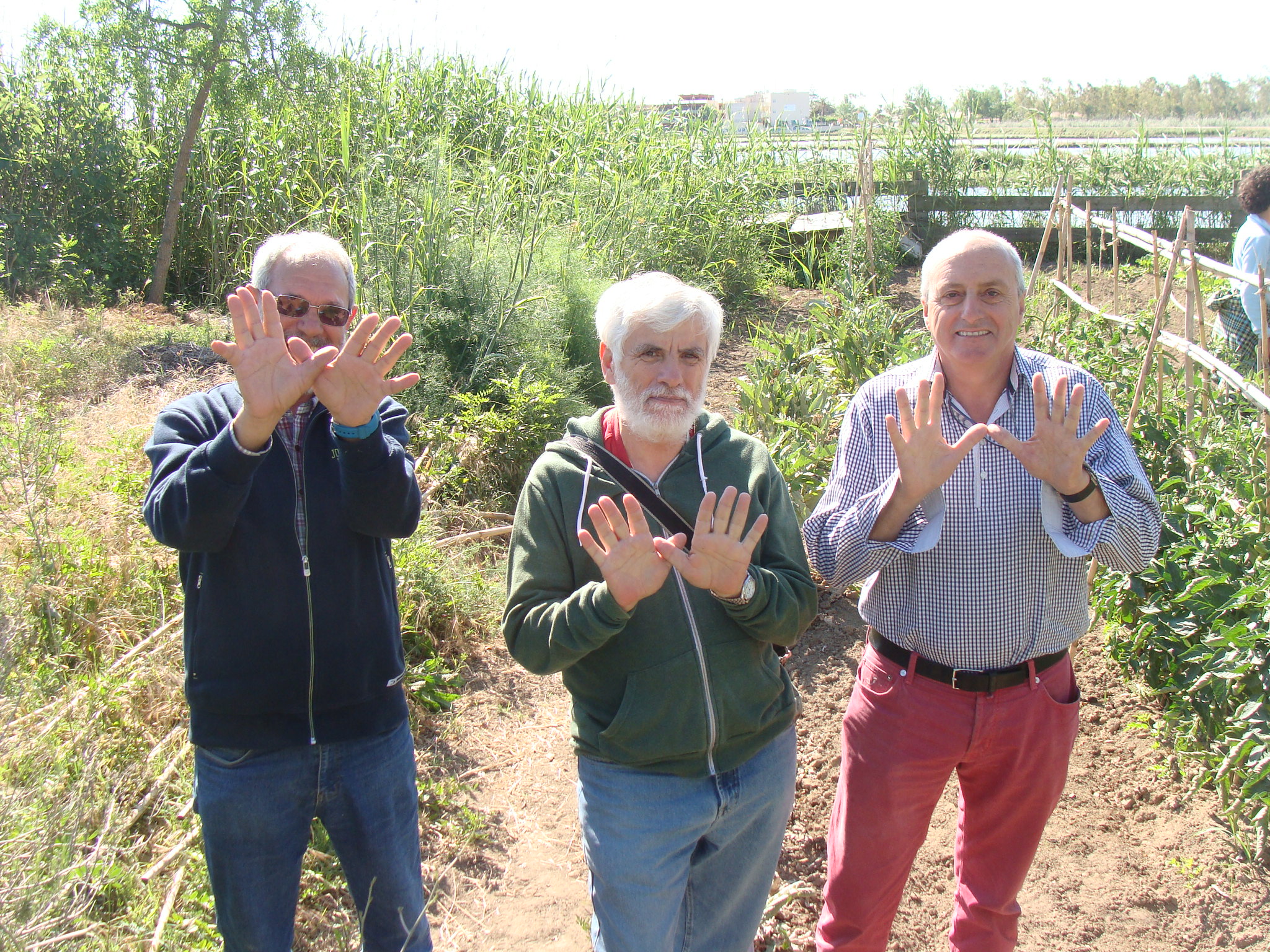 Voluntarios y visitantes en el huerto ecológico de la Reserva Riet Vell de SEO/BirdLife en el Delta del Ebro