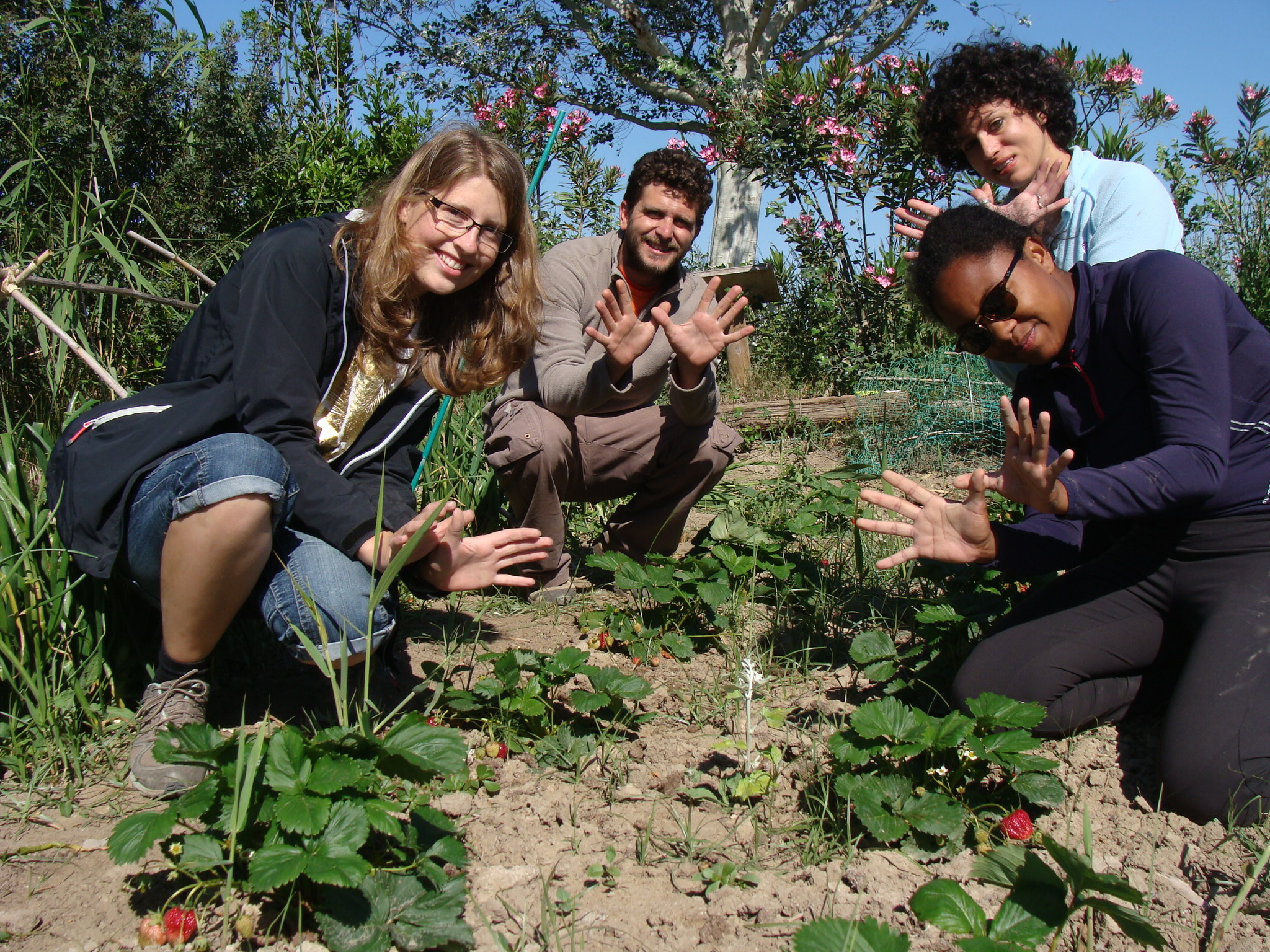 Voluntarios y visitantes en el huerto ecológico de la Reserva Riet Vell de SEO/BirdLife en el Delta del Ebro