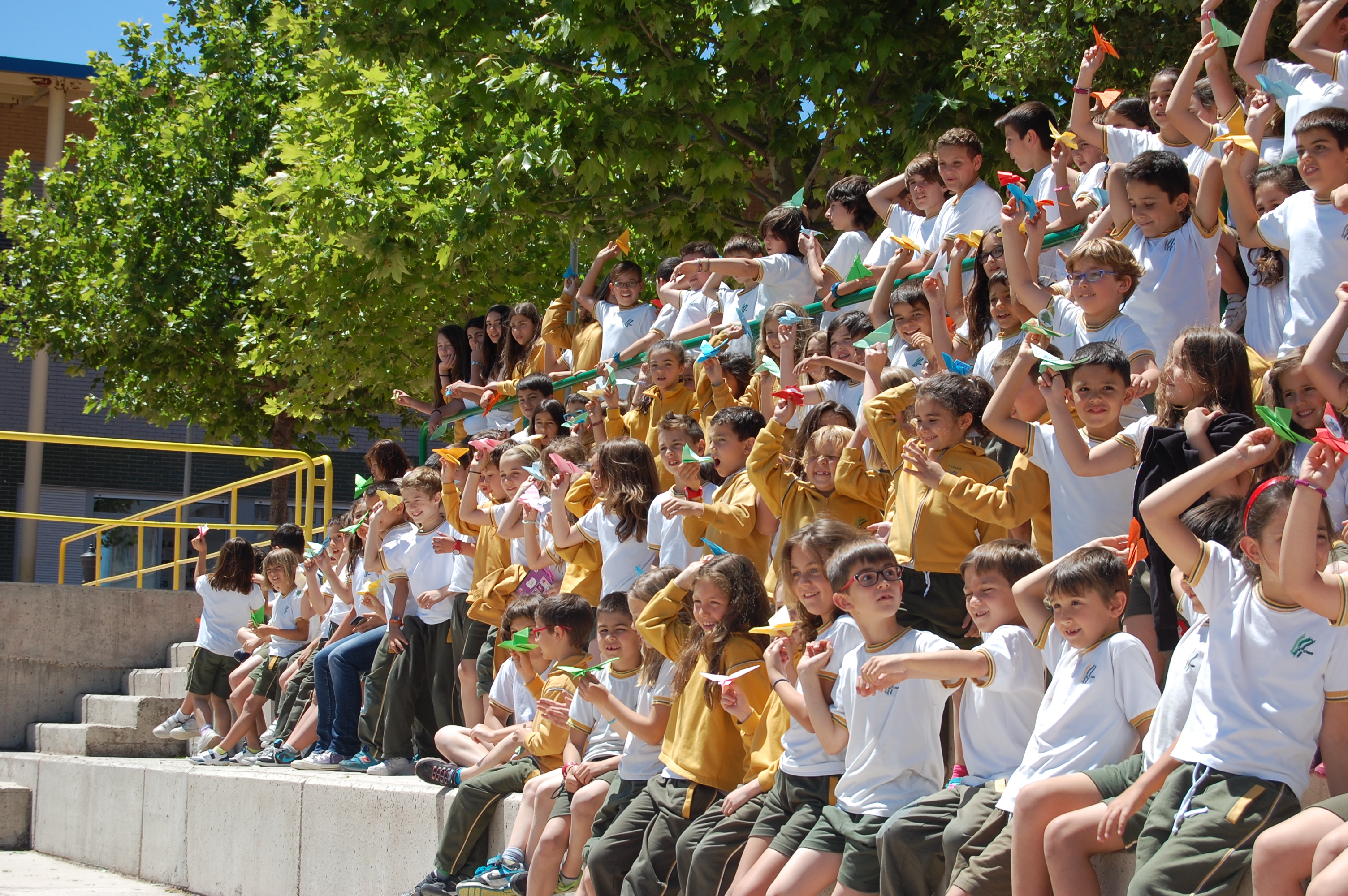 COLEGIO EDUCREA