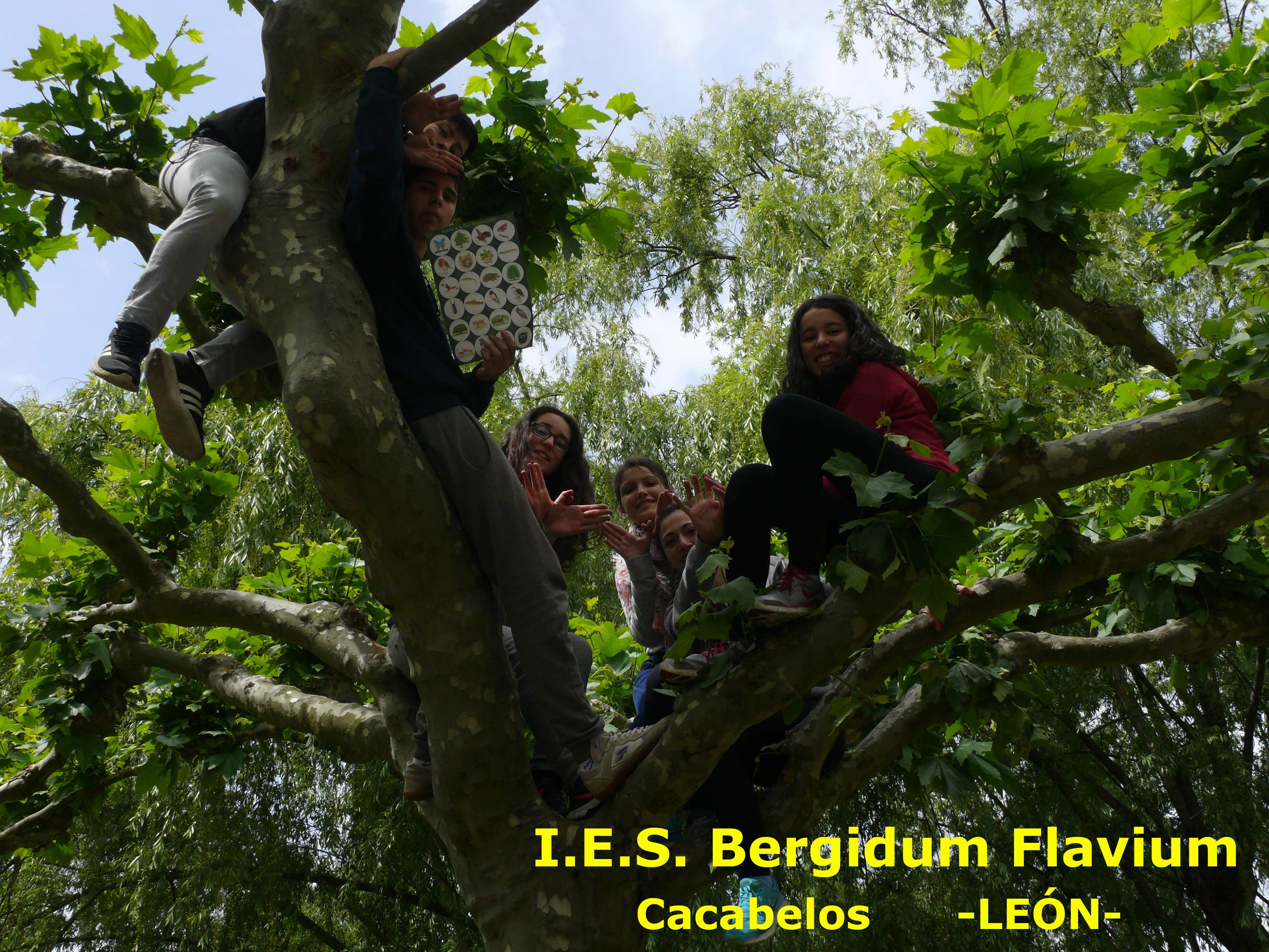 I.E.S. Bergidum Flavium