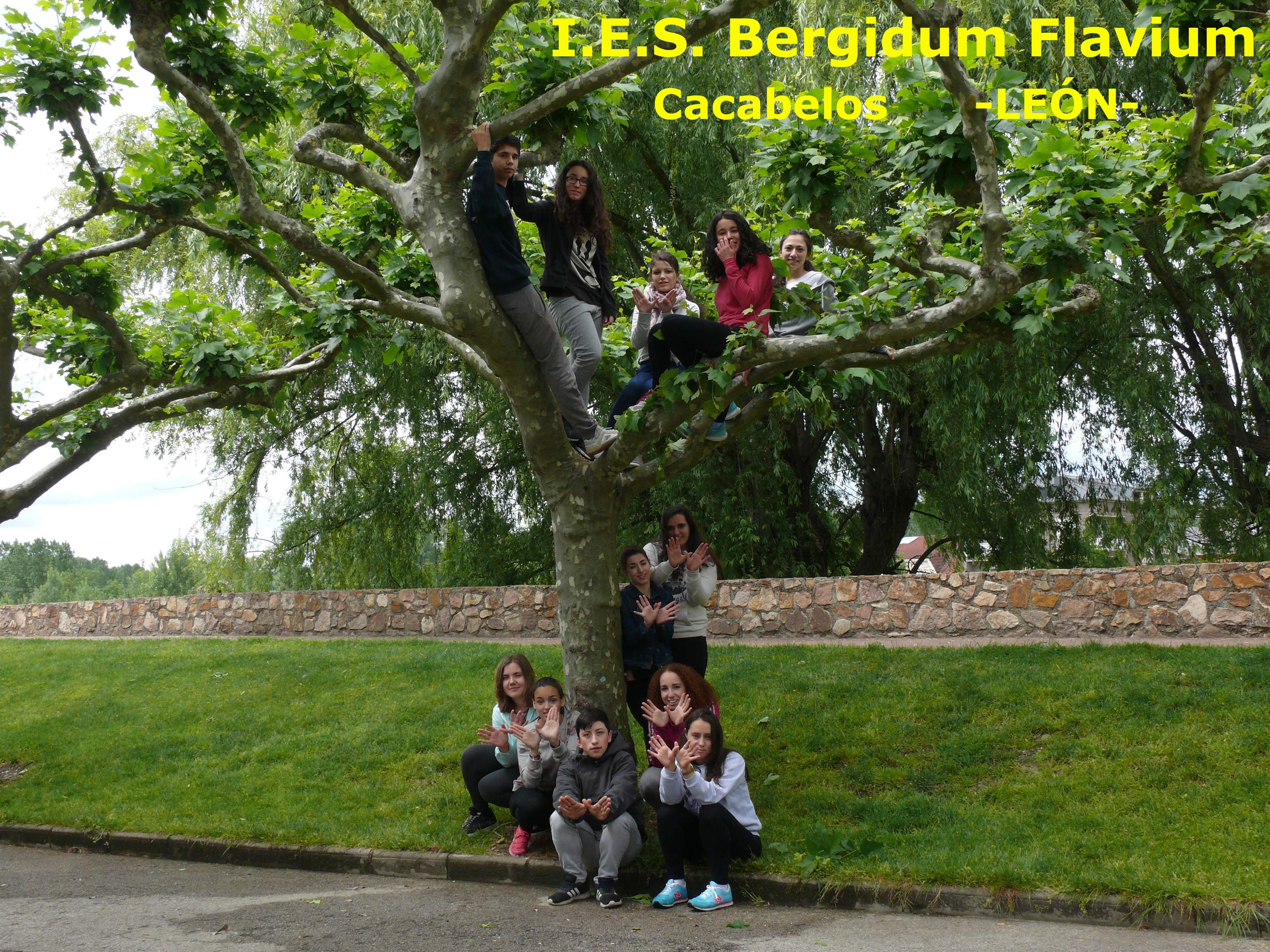 I.E.S. Bergidum Flavium