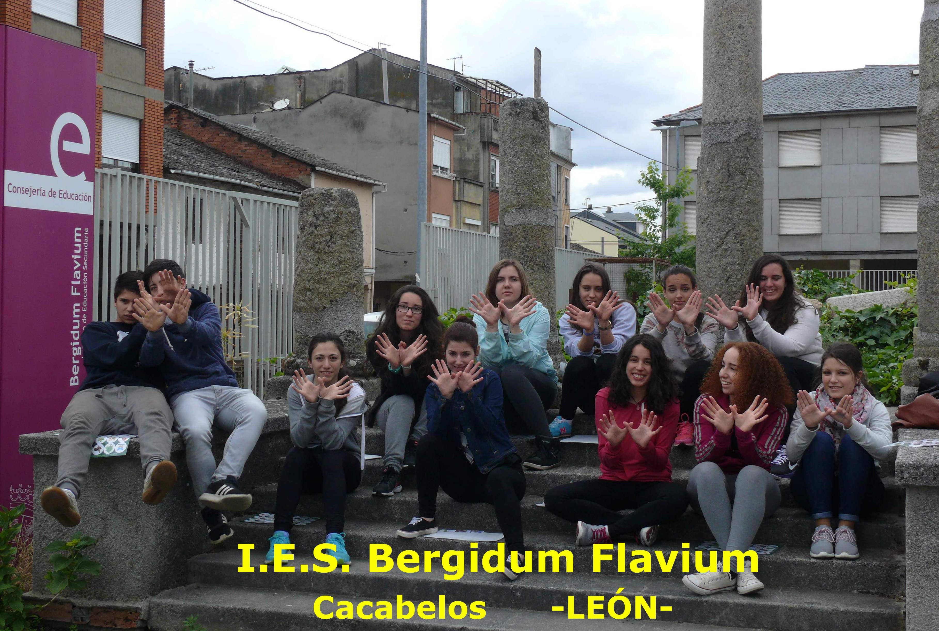 I.E.S. Bergidum Flavium