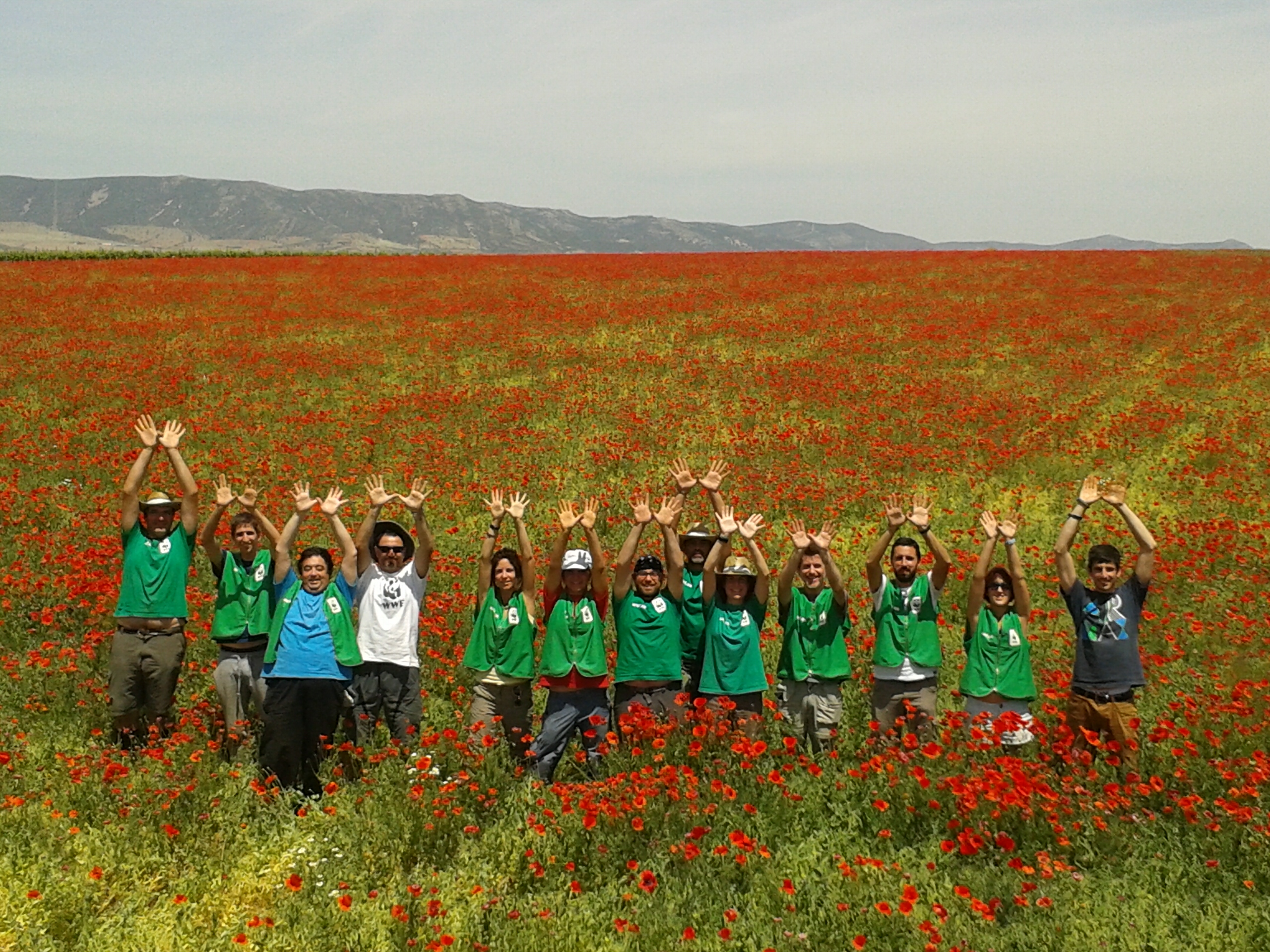 Voluntariado en Las Tablas de Daimiel