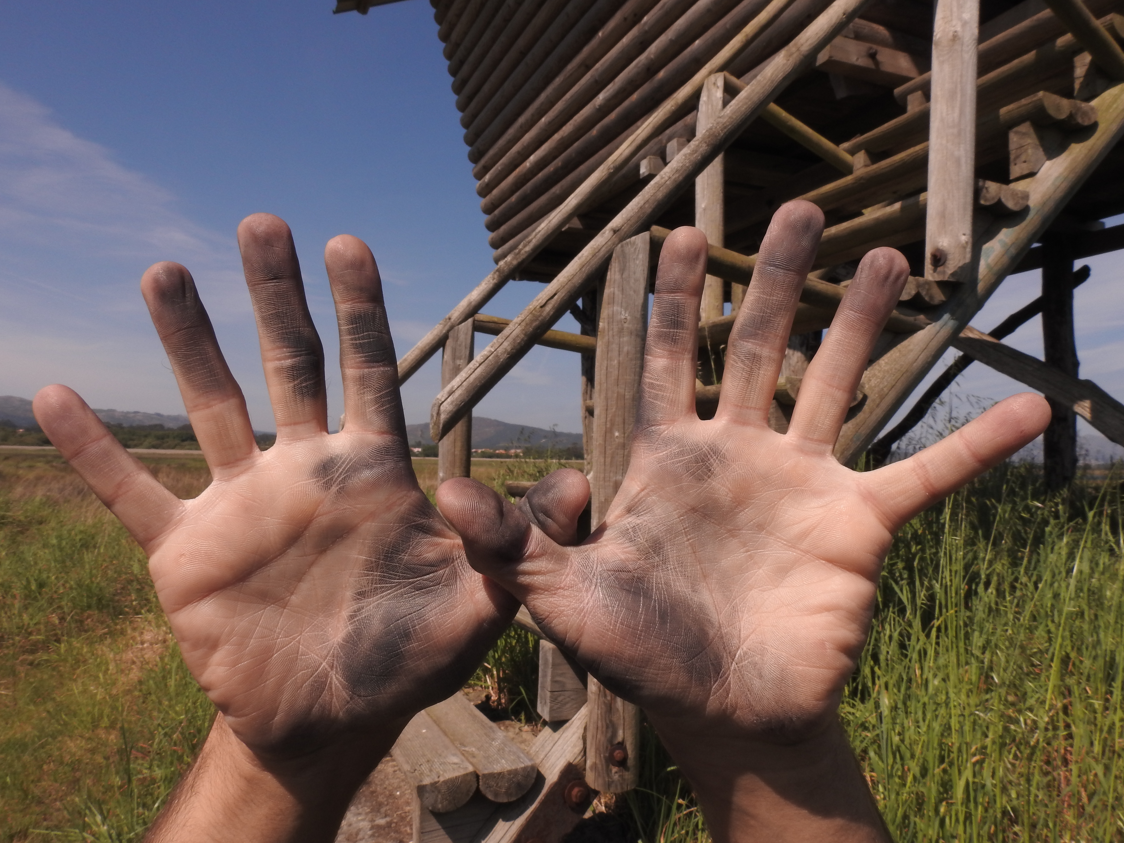 Aunque con las manos manchadas de andar por el campo, desde ‘El Naturalista Cojo’ también nos unimos a la celebración del Día Europeo de la Red Natura 2000. Y que mejor forma de hacerlo que desde el estuario del Miño, espacio incluido en esta red de VIDA