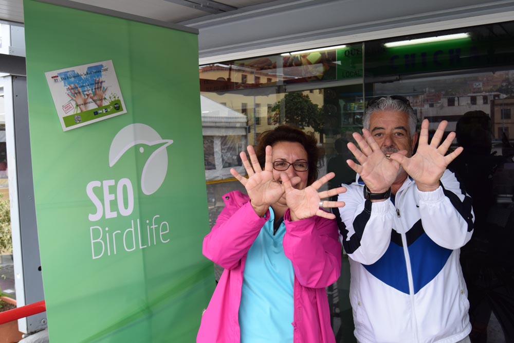 Tenerife_Plaza del Cristo_SEO/BirdLife Canarias