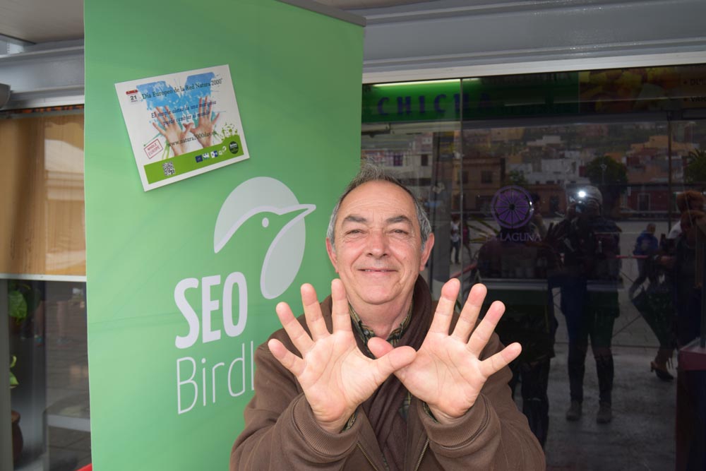 Tenerife_Plaza del Cristo_SEO/BirdLife Canarias