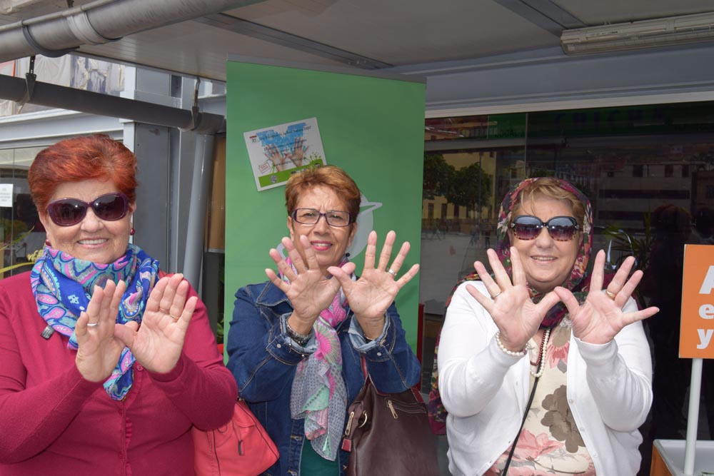 Tenerife_Plaza del Cristo_SEO/BirdLife Canarias