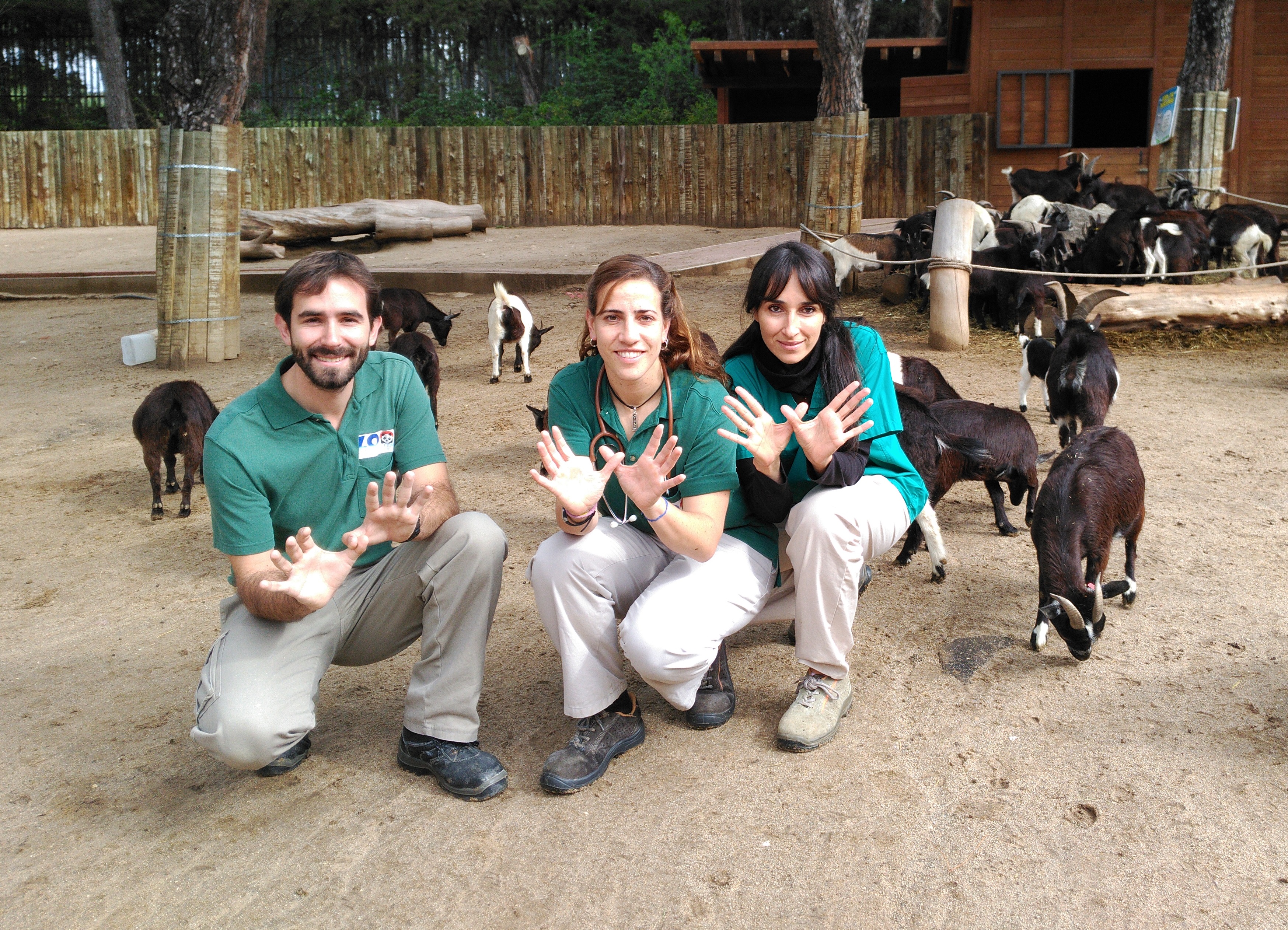 Equipo de veterinaria de Zoo  Aquarium de Madrid