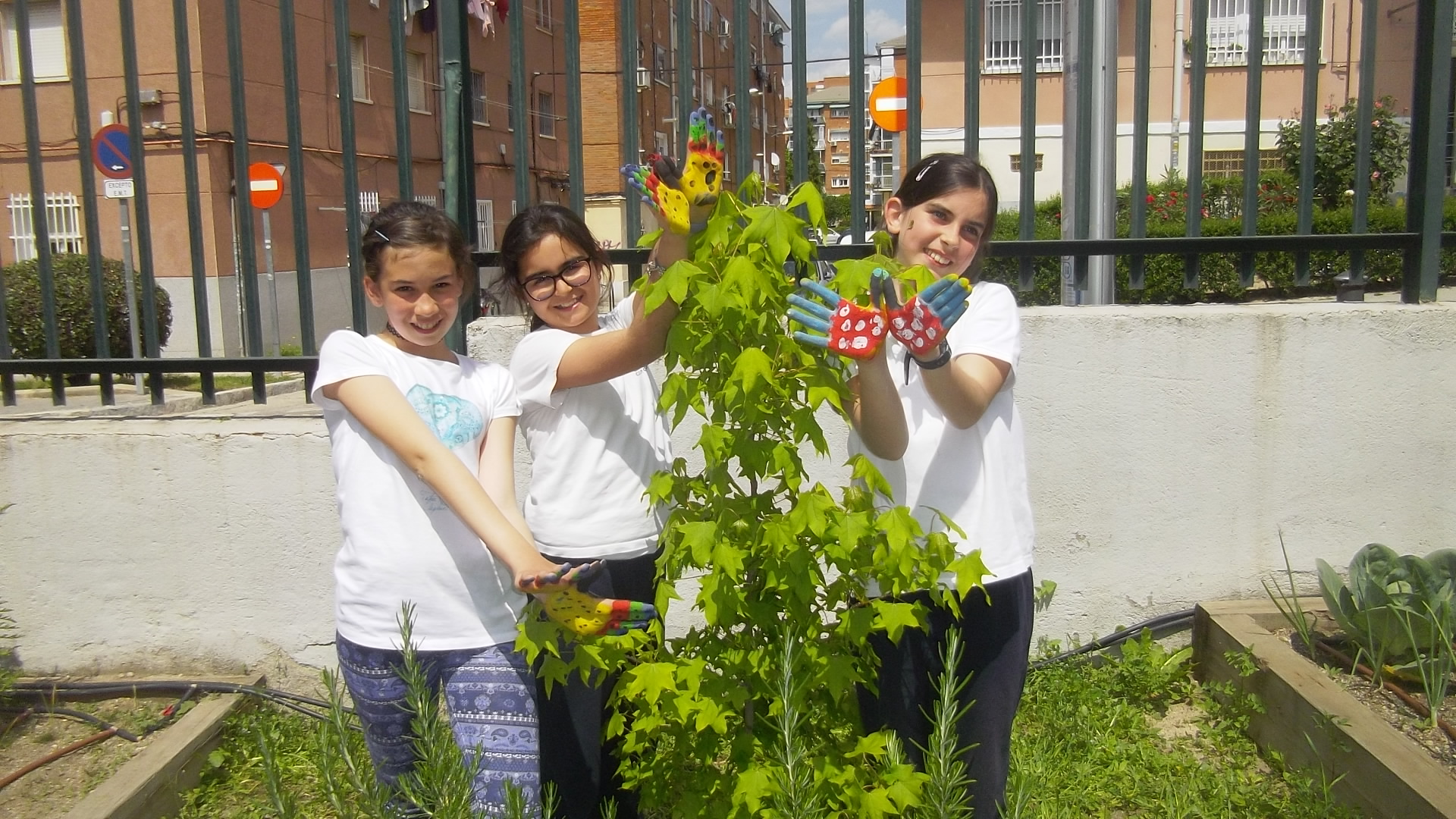 CEIP GANDHI.Nuestras mariposas seguirán volando…