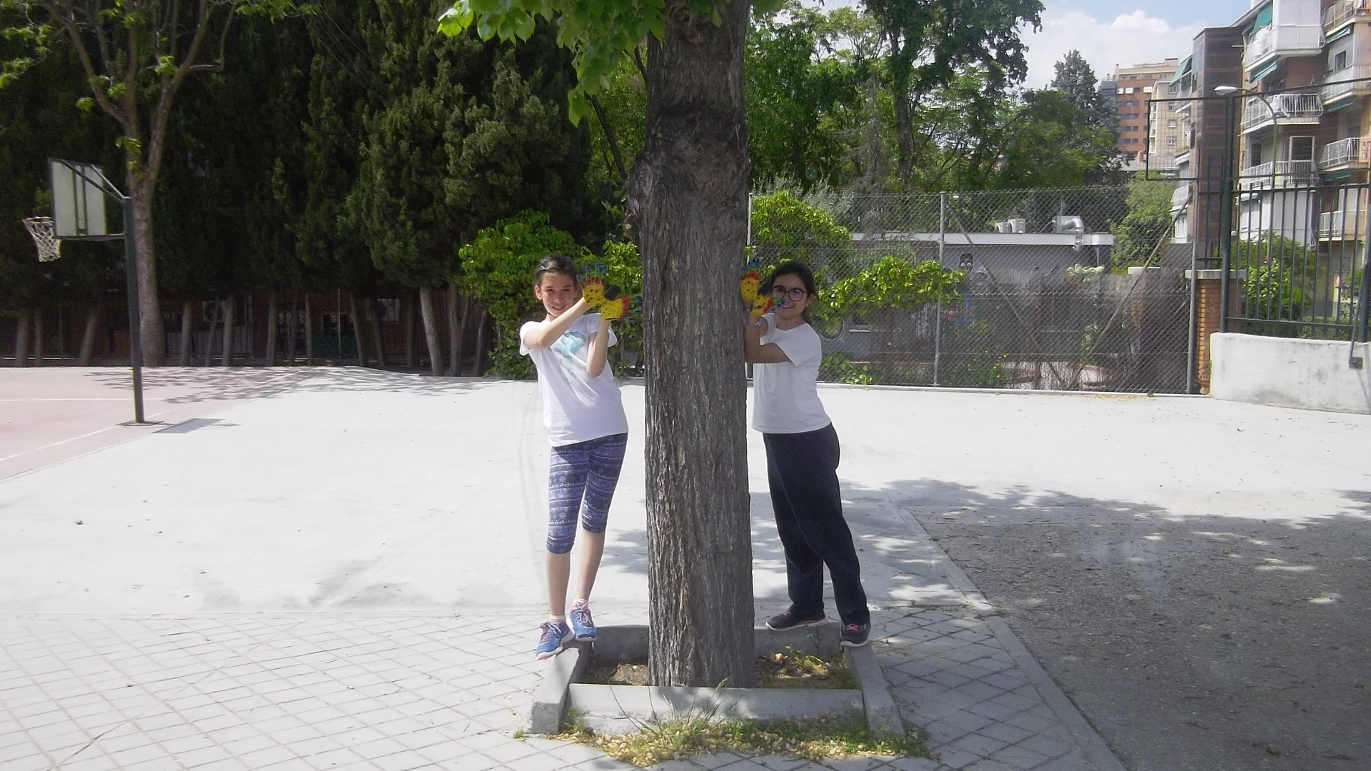 CEIP GANDHI.Nuestras mariposas seguirán volando…