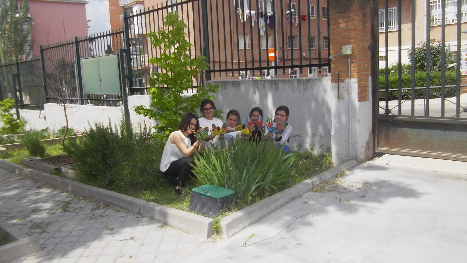 CEIP GANDHI.Nuestras mariposas seguirán volando…