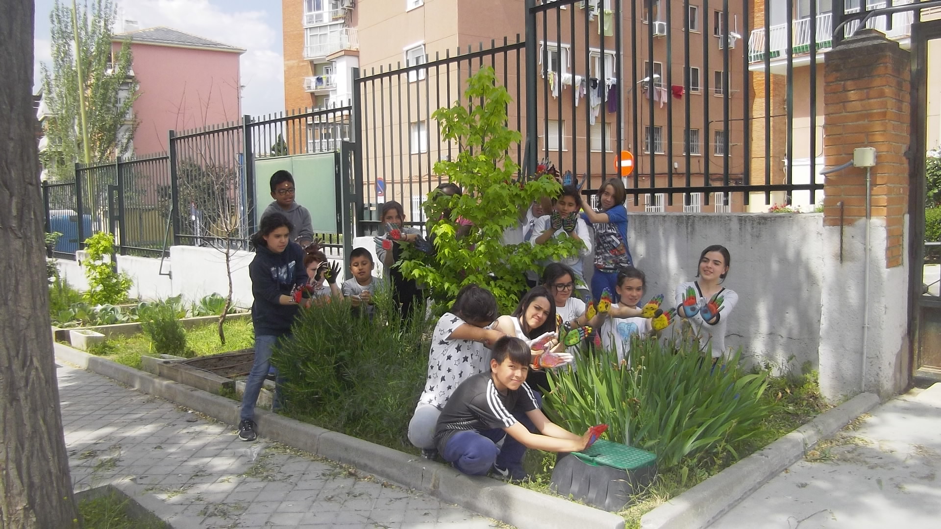 CEIP GANDHI.Nuestras mariposas seguirán volando…