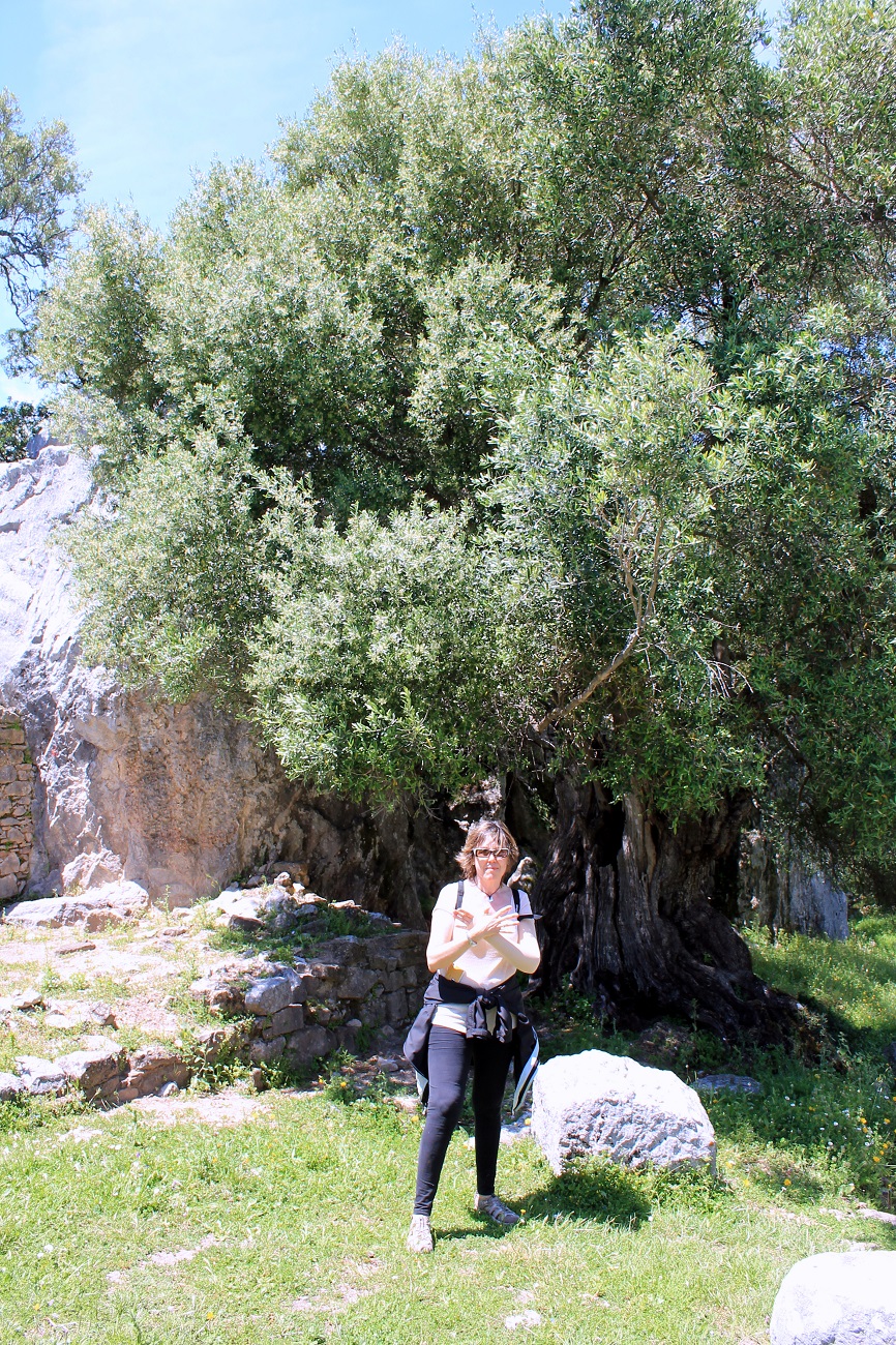 Yacimiento Arqueológico Ciudad Romana de Ocvri