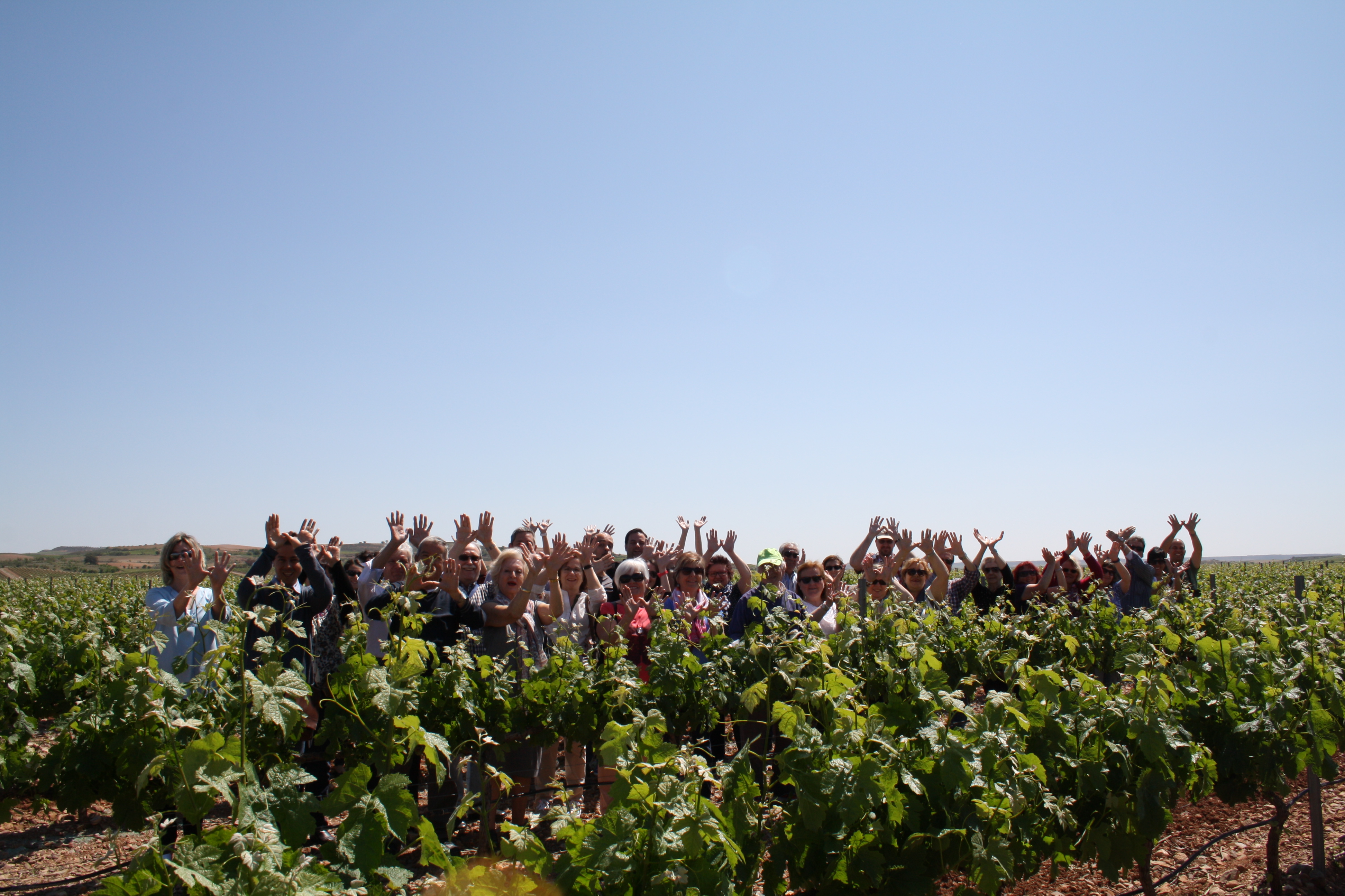 La Ruta del Vino Campo de Cariñena “La Ruta del Vino de las Piedras” con la Red Natura