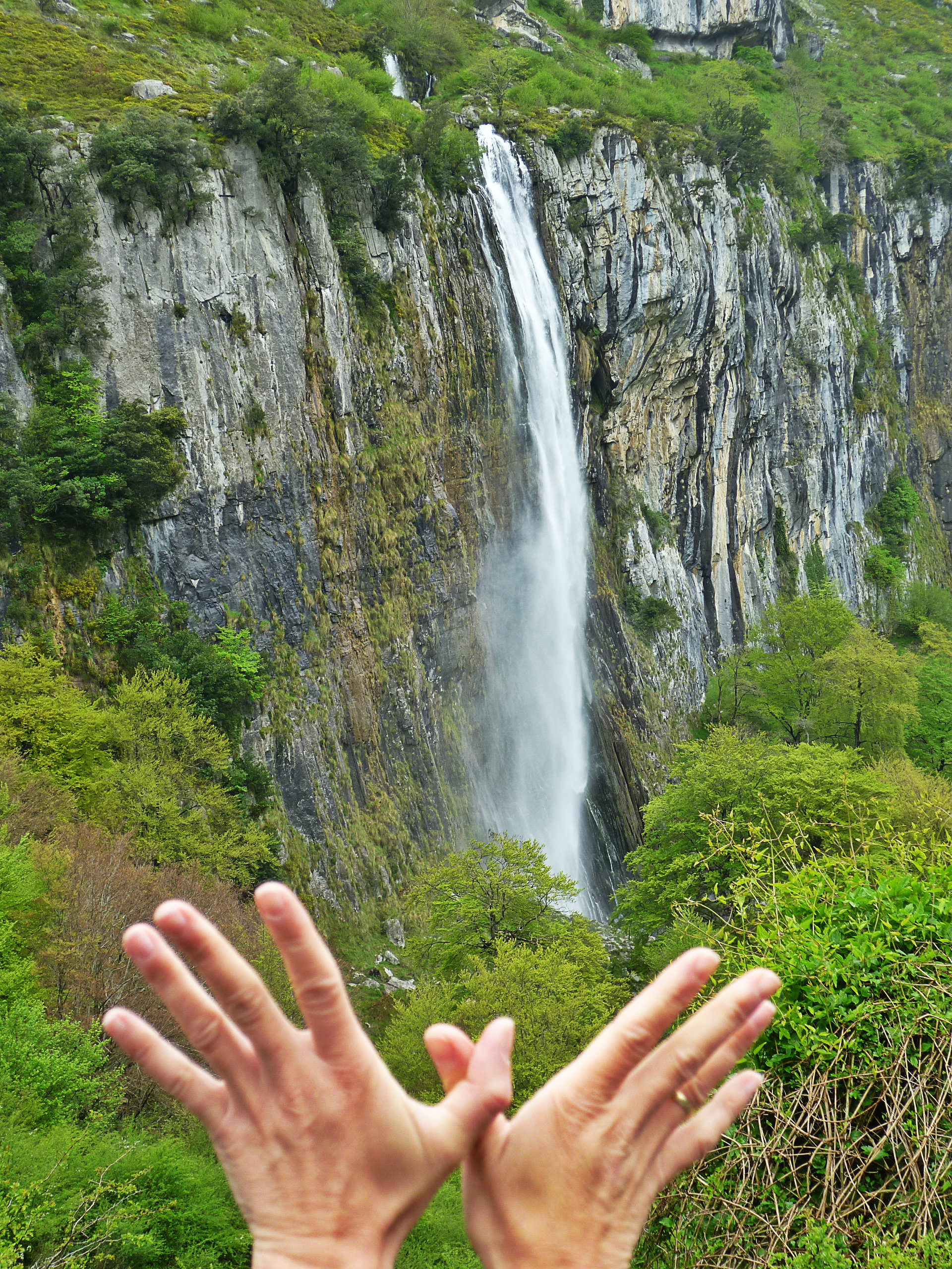 Mariposa en la Cascada del Asón