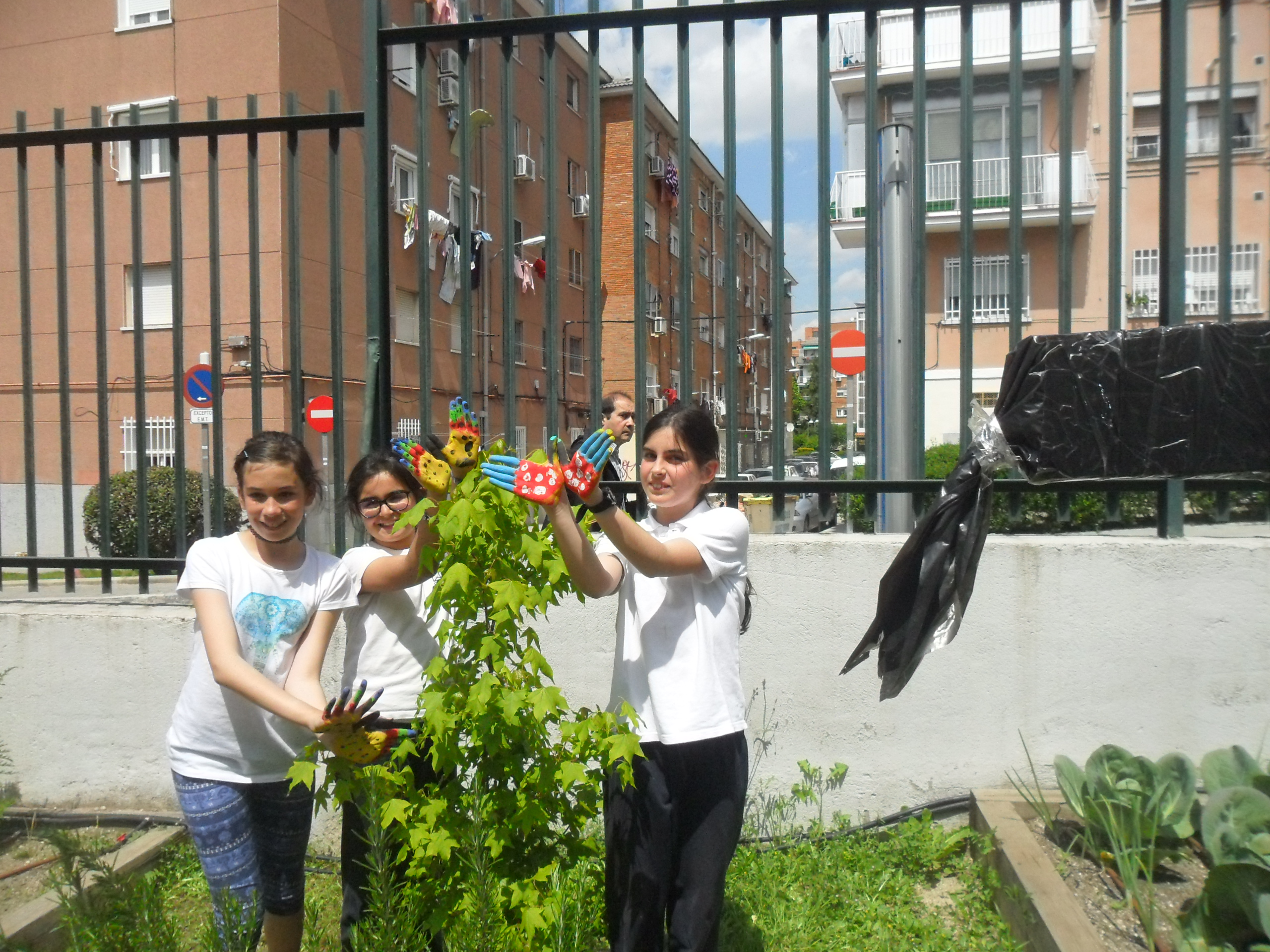 CEIP GANDHI. Nuestras mariposas seguirán volando