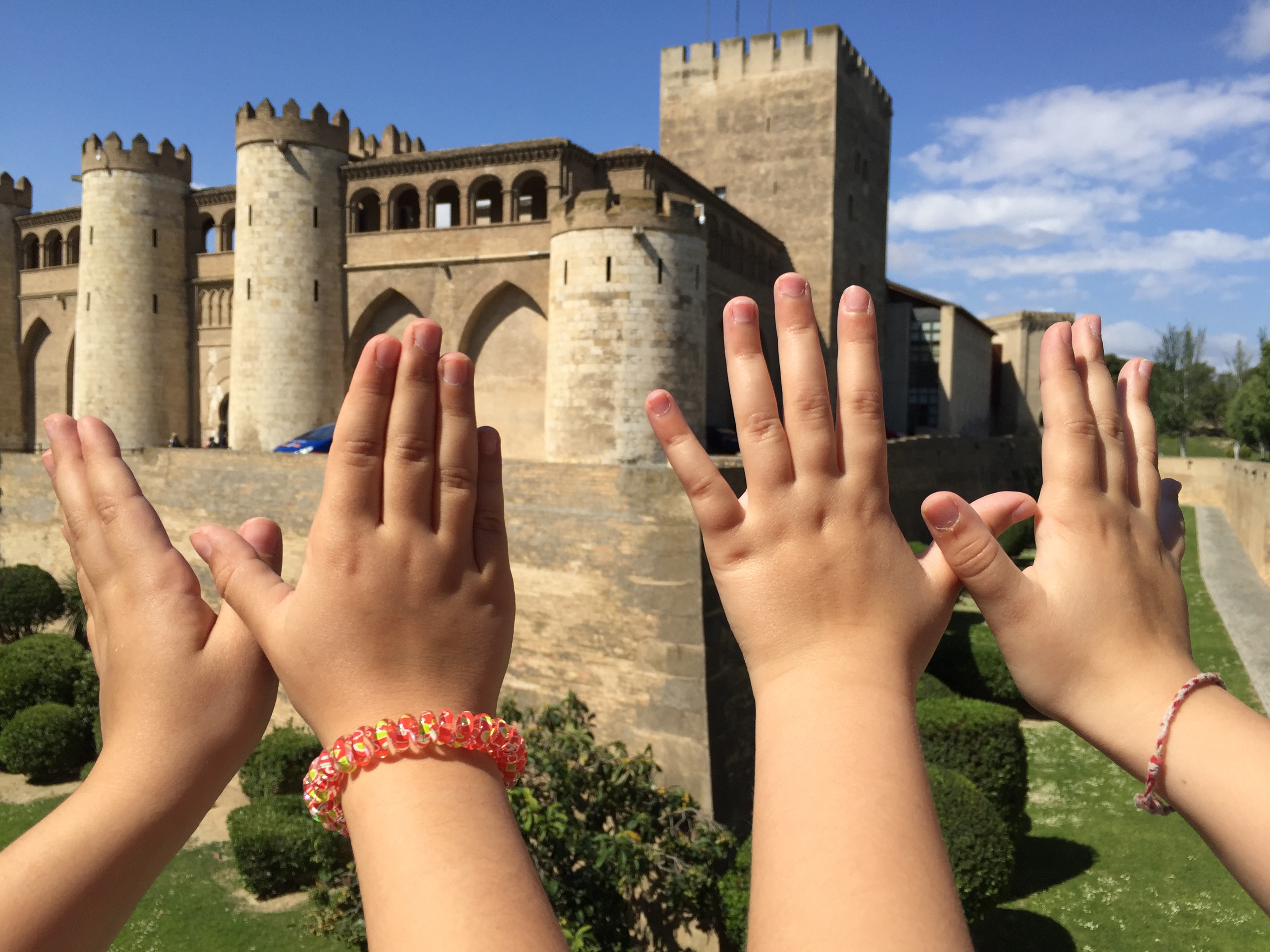 Mariposas Aljafería