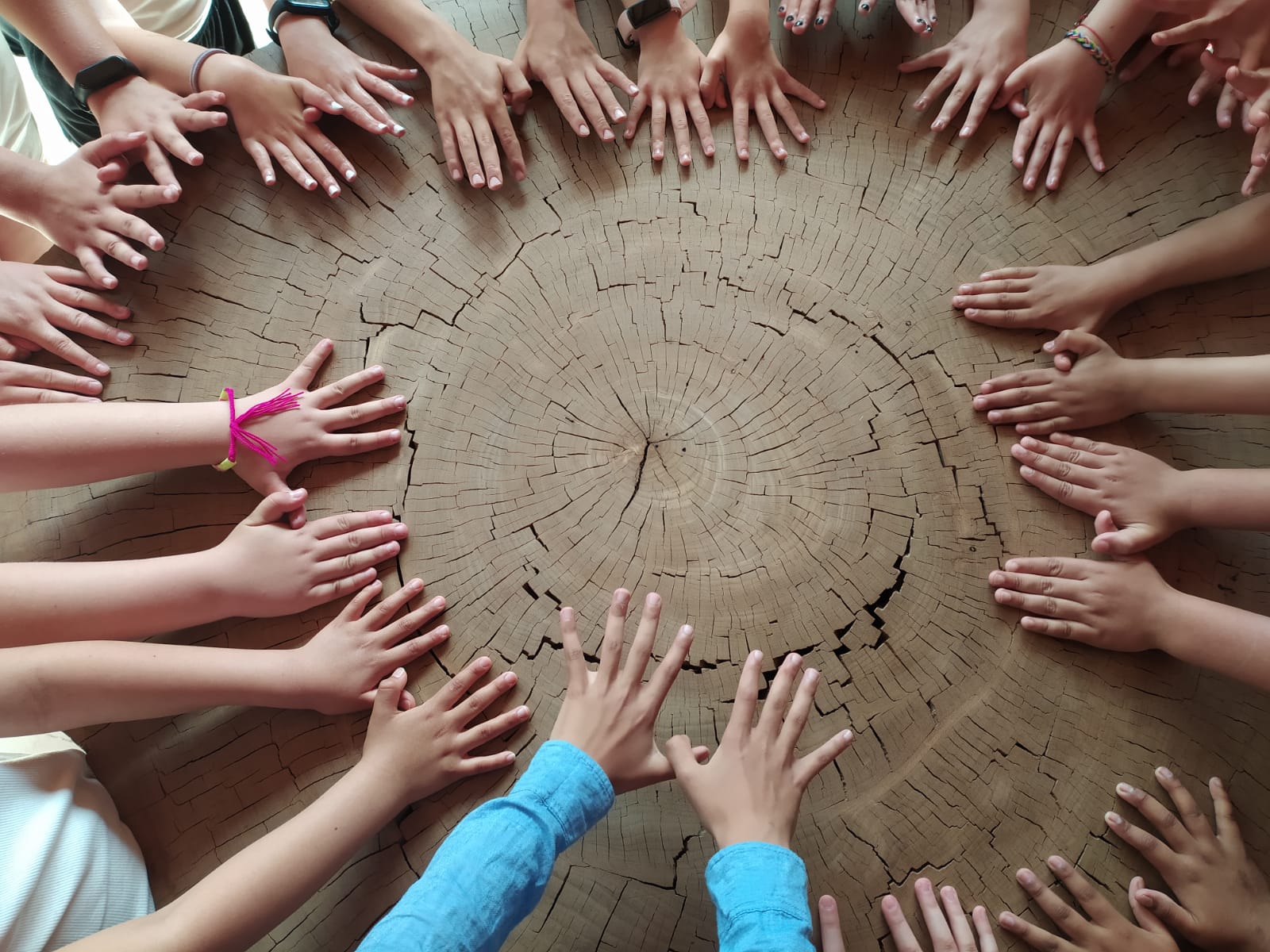 Escolares de visita al Centro de Educación Ambiental “El Campillo”