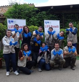 Unimos fuerzas