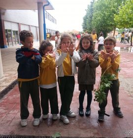 Colegio Educrea el Mirador