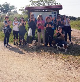 Foto-Flu desde el P.N. de Los Cerros de Alcalá