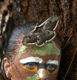 LA MARIPOSA Y HELENA..