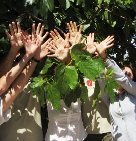 Agentes Medioambientales de la CV