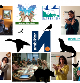 Collage Corporativo Natura 2000 Day