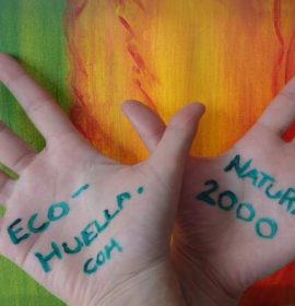 Twitter : @EcoHuella_com (Eco-Huella.com)