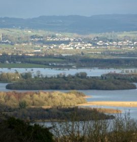 Twitter : @RSPBNI (RSPB NI)