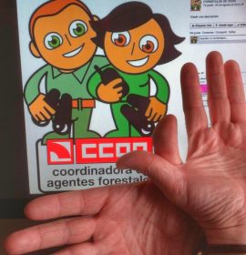 Twitter : @forestalesdeCCO (FORESTALES DE CCOO)