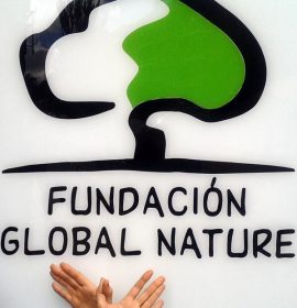 Twitter : @FGlobalNature (F. Global Nature)