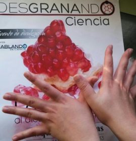 Twitter : @Sci_Granada (Desgranando Ciencia)