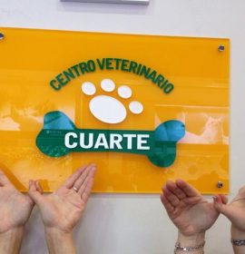 Twitter : @vetecuarte (Veterinario Cuarte)