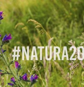 Twitter : @NaturaActiva (Natura Activa )