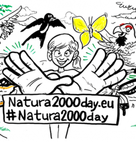 Twitter : @ActivaRedNatura (ActivaNatura2000)