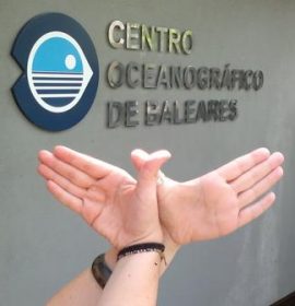 Twitter : @ieo_baleares (IEO Baleares)