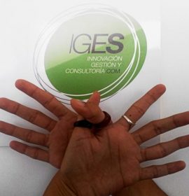 Twitter : @Igesconsult (IGES Consultoría)