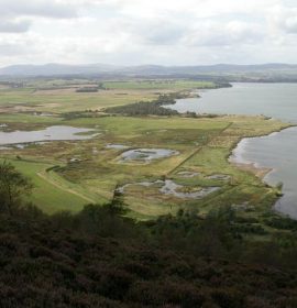 Twitter : @RSPBLochLeven (RSPB Loch Leven)