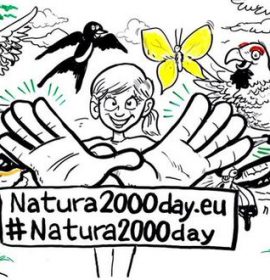 Twitter : @ActivaRedNatura (ActivaNatura2000)